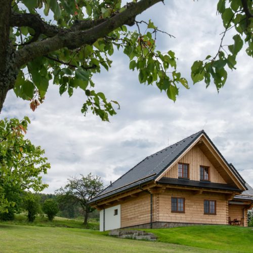 Poloroubenka z borovice Čebín